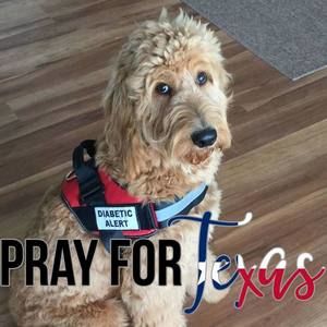 Meet your Posher, Suzy